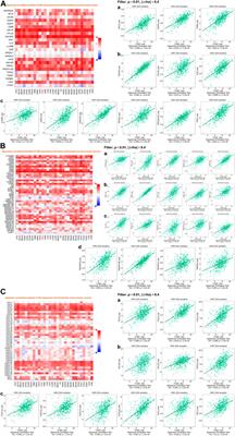 C1QC is a prognostic biomarker with immune-related value in kidney renal clear cell carcinoma